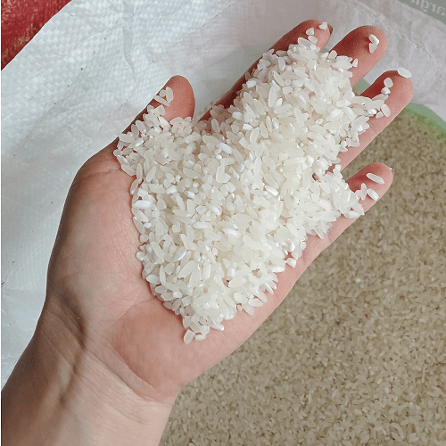 Gạo đồng bào Tây Nguyên — 2