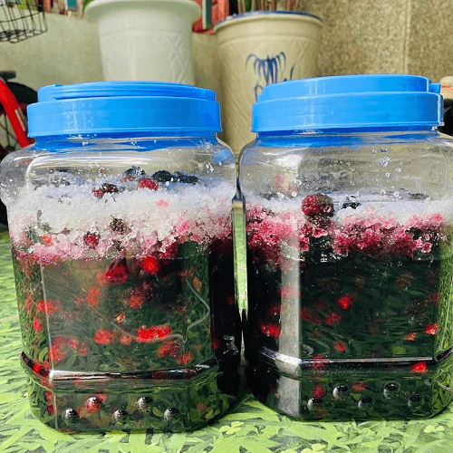Rượu dâu tằm Bình Định chính gốc — 2