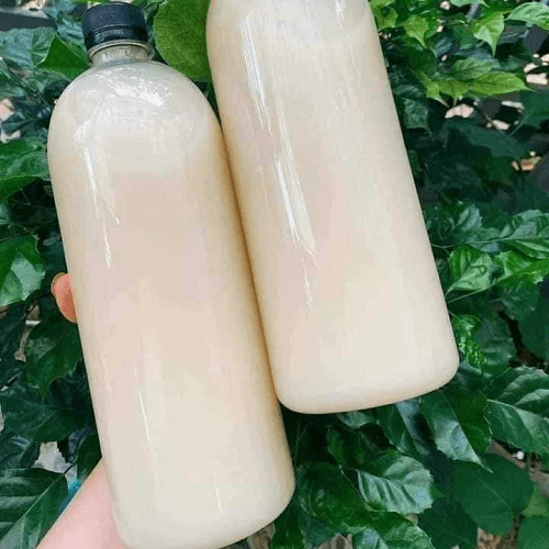 Rượu nếp vắt Bình Định chính gốc — 3
