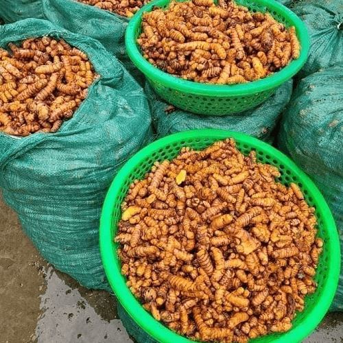 Tinh bột nghệ nguyên chất — 2